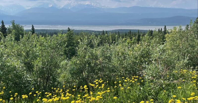 Glacial Lake, Waterfall and Rainforest. Beauty of Turnagain! - Booking Your Adventure