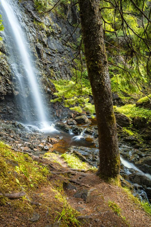 Glen Affric Guided Winter Walk - Frequently Asked Questions