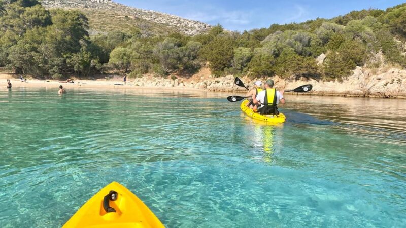 Golfo Aranci: Small Group Kayak Tour With Aperitif &Dolphins - Cancellation Policy