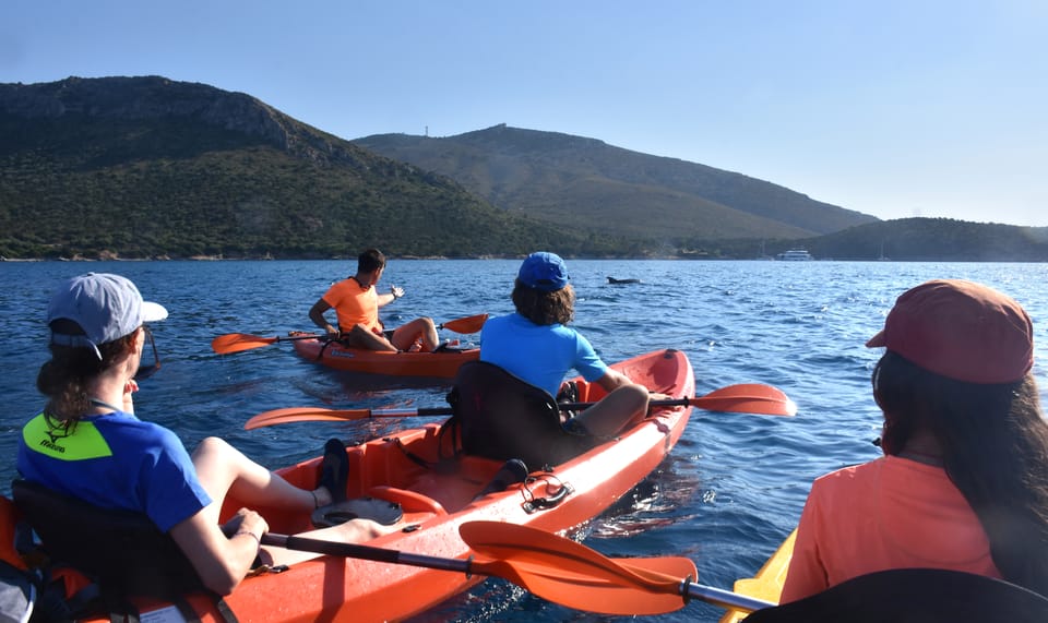 Golfo Aranci: Sunrise Dolphin Kayak Tour With Breakfast - Language Options