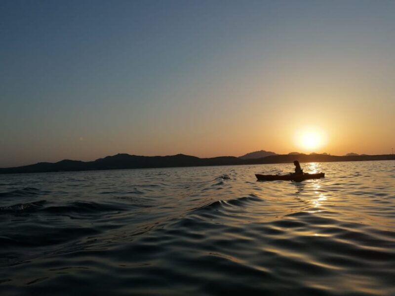 Golfo Aranci: Sunset Dolphin Kayak Tour With Aperitif - Meeting Location and Important Details