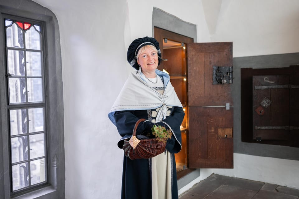 Goslar: Witches - From Delusion to Myth - Participant Information