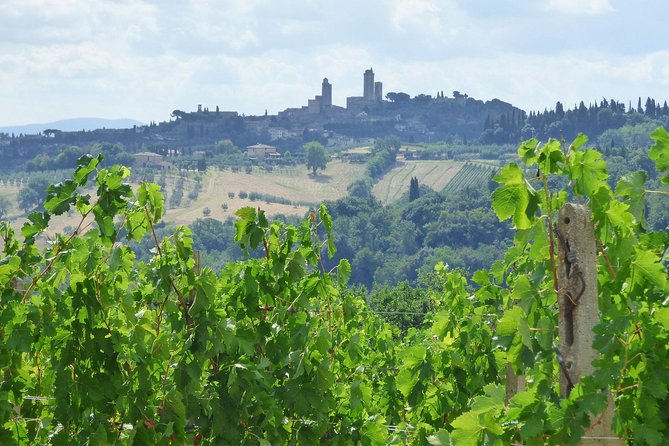 Gourmet Wine Tour San Gimignano Wine Tasting - San Quirico Winery - Intimate Atmosphere and Knowledgeable Hosts