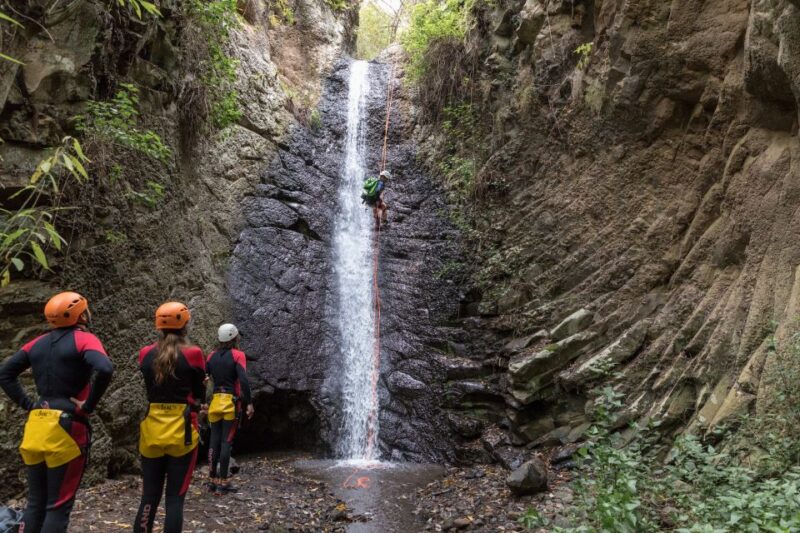 Gran Canaria: Canyoning in the Rainforest - Customer Feedback