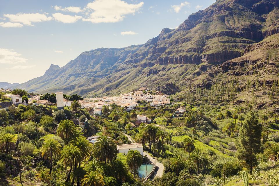 Gran Canaria: Full-Day VIP Tour by Bus - Customer Feedback and Ratings