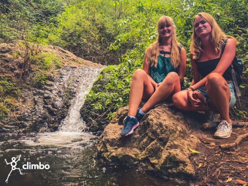 Gran Canaria: Guided Day Tour to Rainforest With Tasting - Important Information and Restrictions
