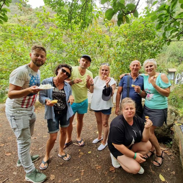 Gran Canaria: Highlights Tour, Hike in the Lauer Forest - Customer Experience