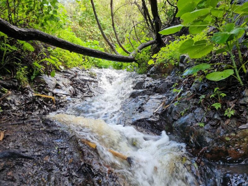 Gran Canaria: Magic Waterfalls Hiking Tour - Customer Ratings