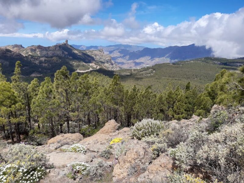 Gran Canaria: Peaks of Gran Canaria Hiking Tour - Customer Reviews