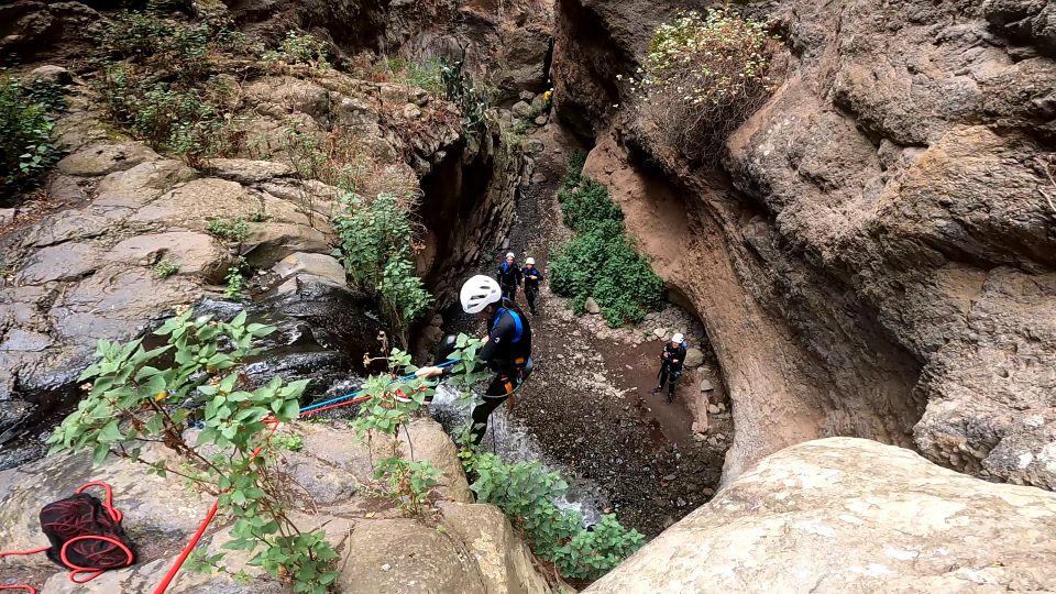 Gran Canaria: Rainforest Canyoning Tour With Gear and Snack - Customer Ratings and Feedback