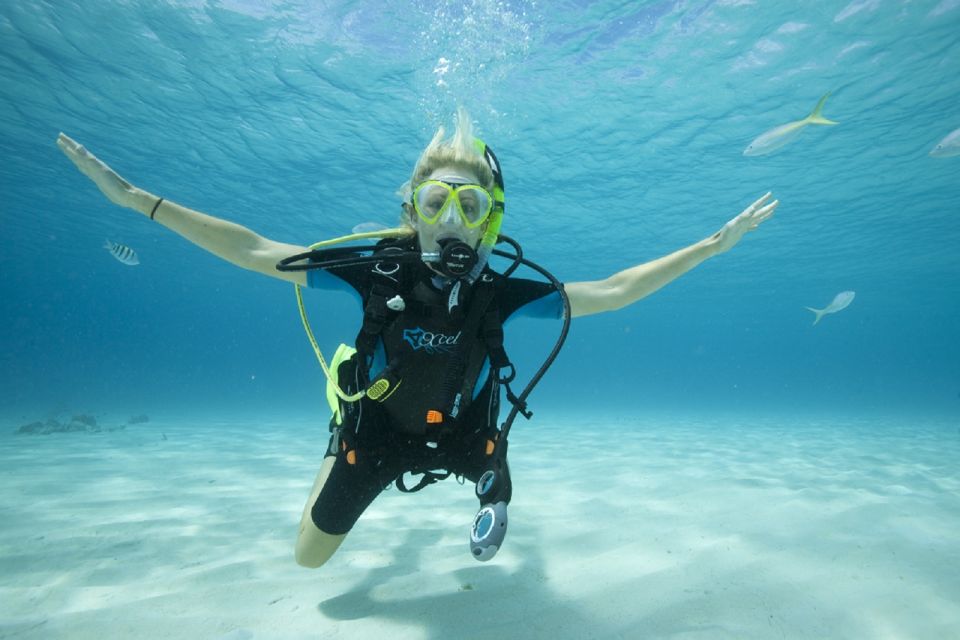 Gran Canaria: Scuba Diving for Beginners - Meeting Point and Contact