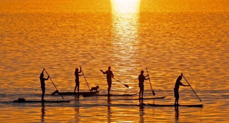 Gran Canaria: Stand-Up Paddle Lesson & Snorkeling Tour - Equipment and Inclusions