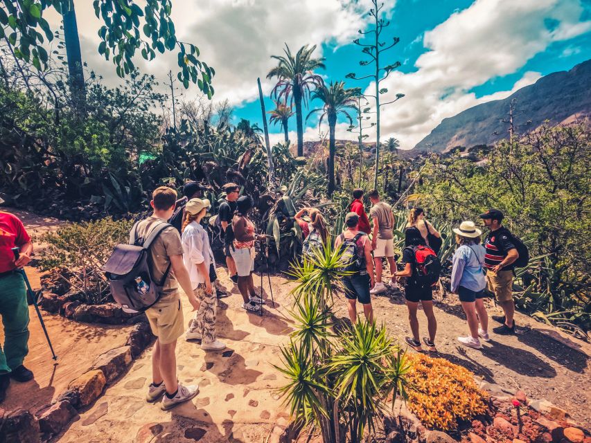 Gran Canaria: the Red Canyon Tour With Local Food Tasting - Recommendations for Participants