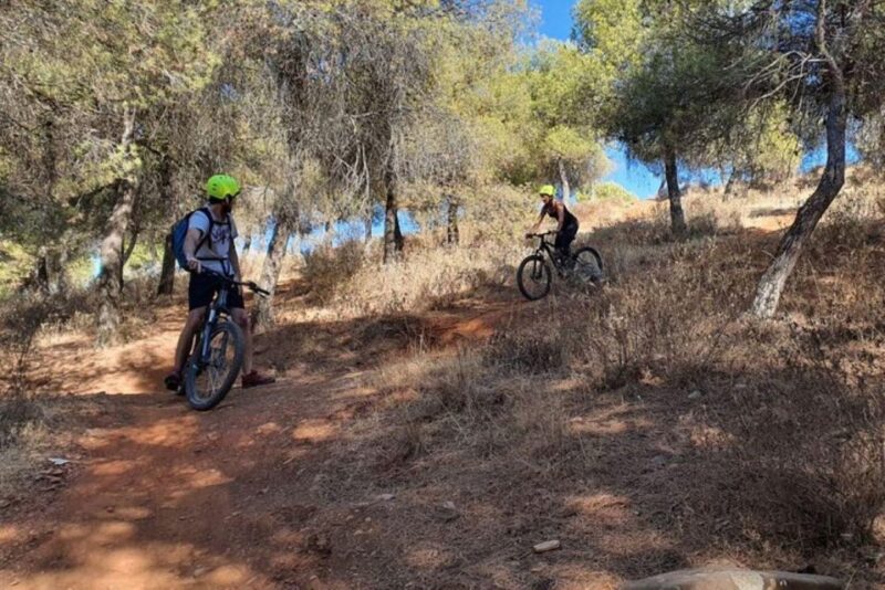 Granada: MTB Ebike Tour 3 Hours - Silla Del Moro - Equipment and Safety