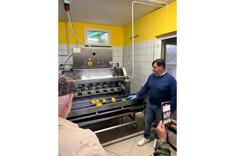 Grandpa Mario Lemon Tour - Customer Feedback