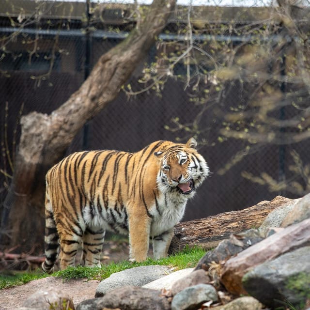 Great Plains Zoo - Customer Feedback and Reviews
