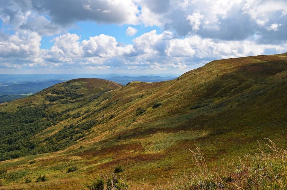 Greenock: Shore Excursion to Stirling Castle and Loch Lomond - Customer Reviews