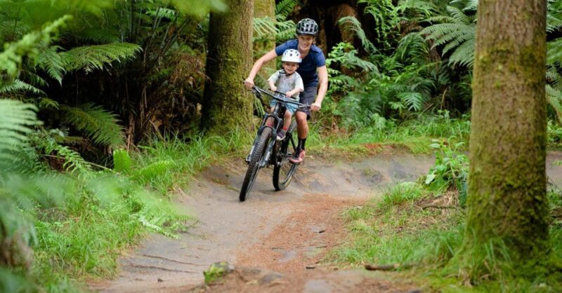 Grenoble: Electric Mountain Bike Rental - Group Size and Language Support