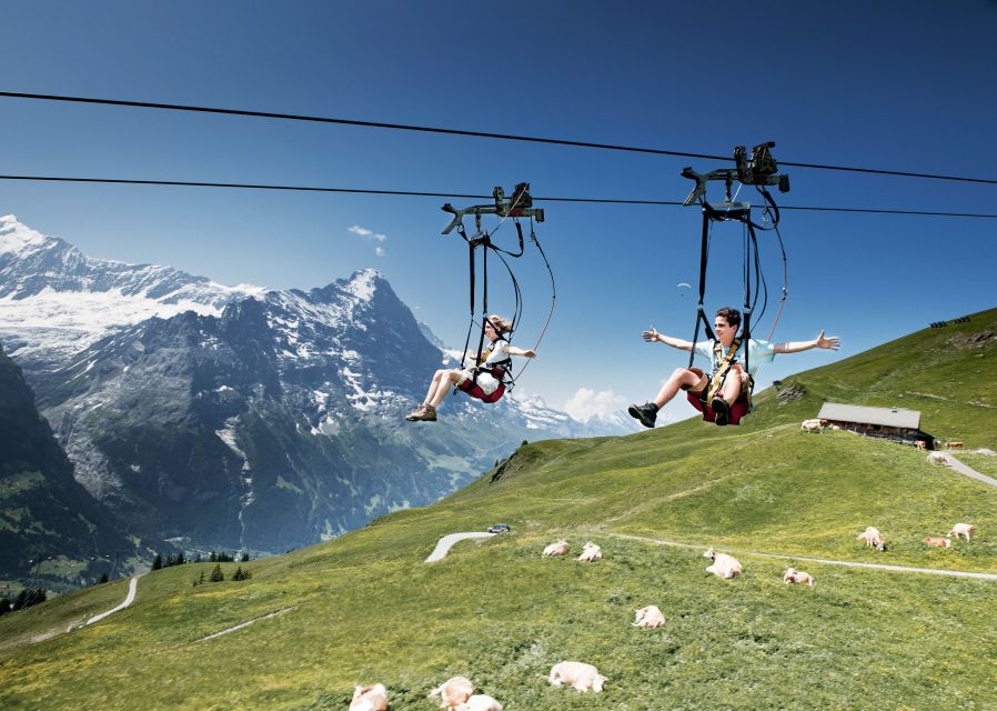 Grindelwald Gondola Ride to Mount First - Adventure Activities Available