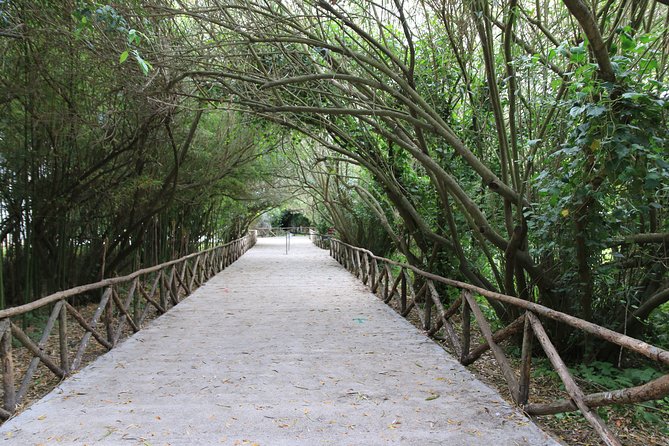 Group Guided Tour of the Archaeological Park of Neapolis - Meeting Point