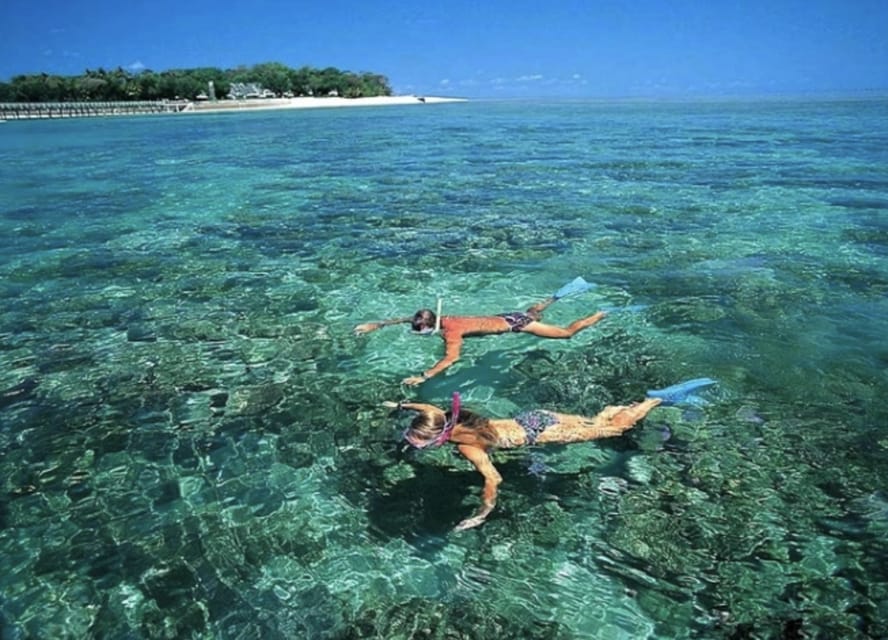 Group Tour: Cham Island Sightseeing & Snorkeling - Booking Information