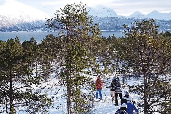 Guided Easy Snowshoeing With a Visit to Local Café - What to Bring