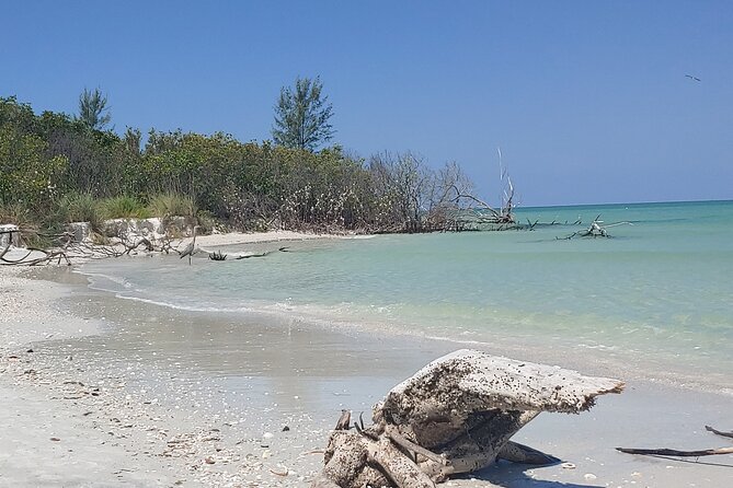 Guided Kayak EcoTour of Beautiful Shell Key Preserve - Participant Experiences and Feedback