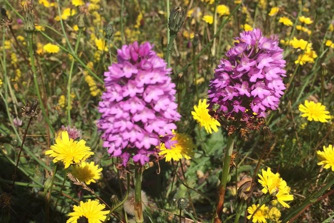 Guided Tour of the Burren on Electric Bikes - Additional Considerations