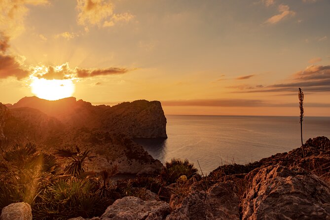 Guided Trike Tour in Mallorca in a Small Group - Luxury Yachts and Potential Celebrities