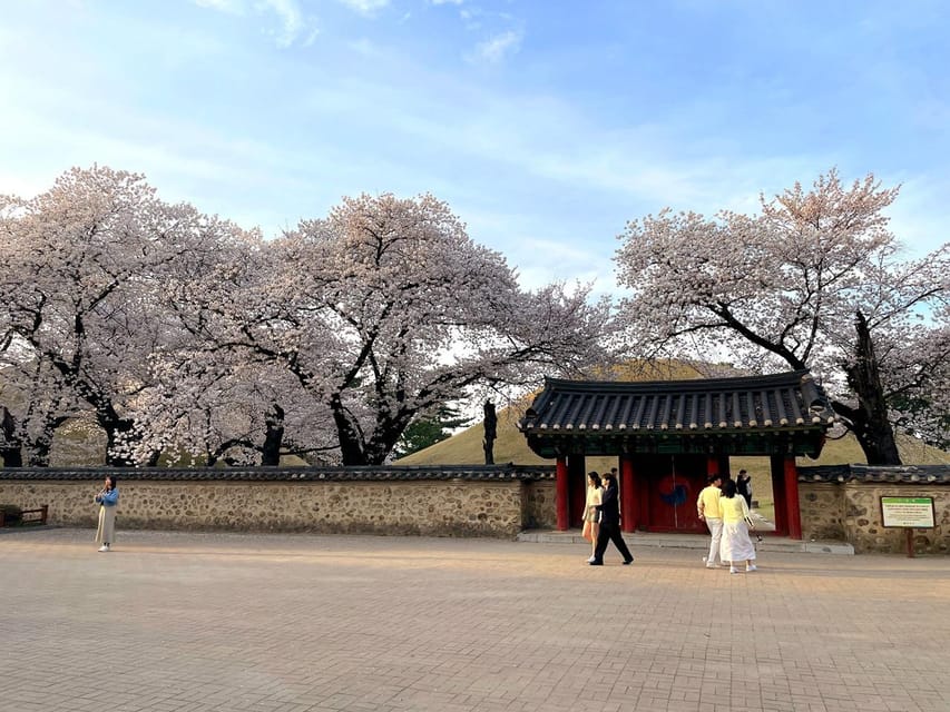 Gyeongju: UNESCO Highlights Tour With Guide and Ticket - Meeting Point and Logistics