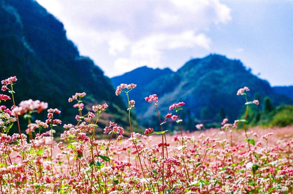 Ha Giang Loop 4Days - 3Nights With Easy Rider Tour Guide - Suitability