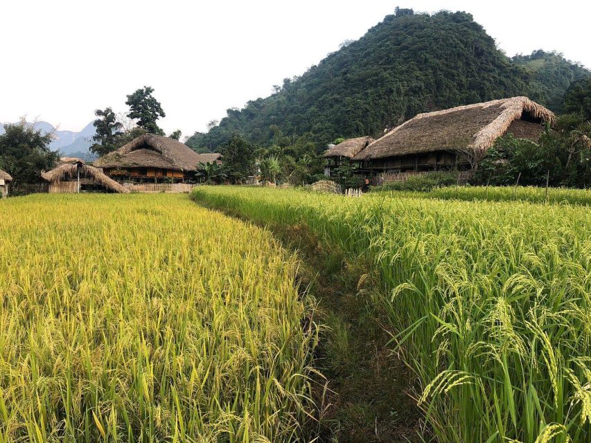 Ha Giang Loop: Easy Rider Motorbike Tour in 3D3N - Included Services and Amenities