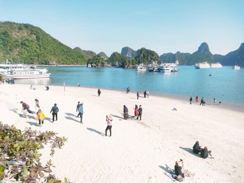 Ha Long Bay Luxury Day Cruise Smaller Group! - Important Information