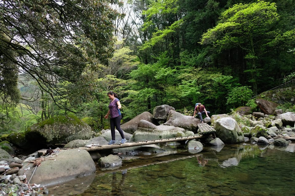 Hakone: Forest Bathing Hike With Lake Ashi and Mt. Fuji View - Frequently Asked Questions