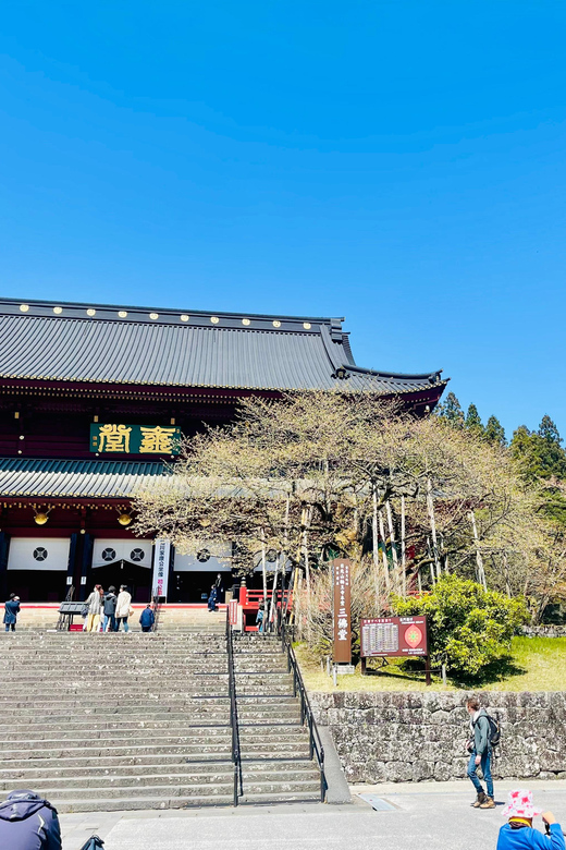 Hakone: Full Day Private Tour With English Speaking Driver - Customer Testimonials