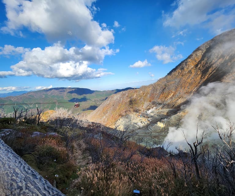 Hakone Private Day Tour With English Speaking Driver - Pickup and Drop-off Information