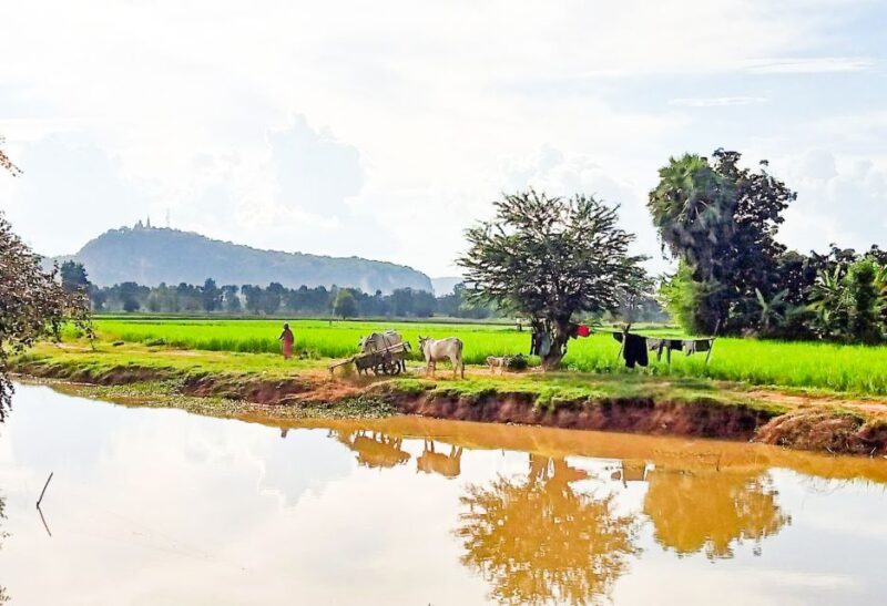 Half-day Cycling: Explore Battambang Countryside & Sunset - Important Participant Guidelines