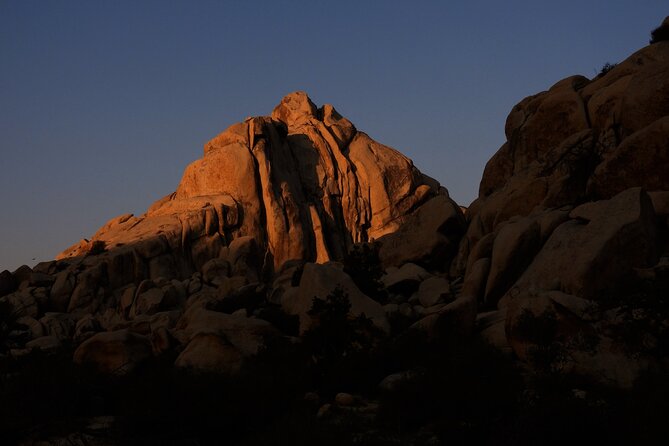 Half-Day Guided Hike in Joshua Tree National Park - Pricing Details and Options