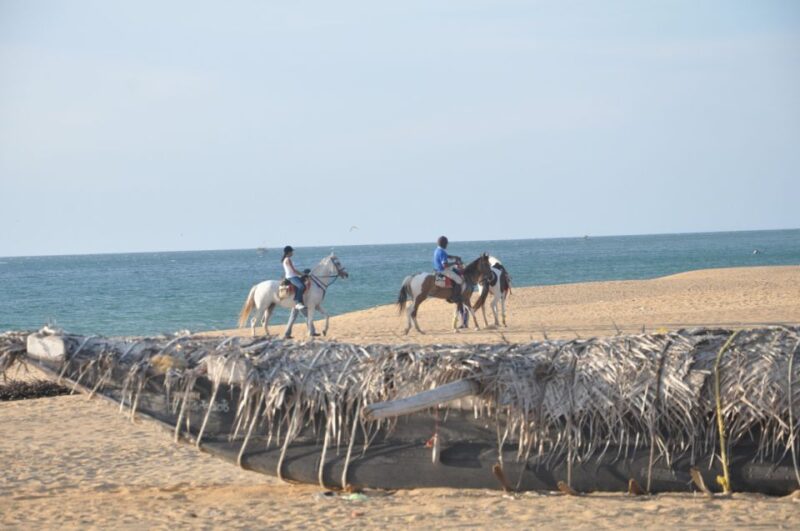 Half-Day Horse Riding in Kalpitiya - Meeting Point
