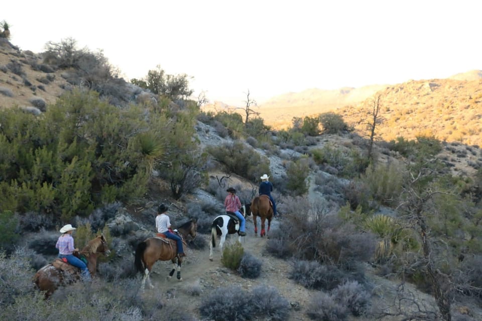 Half Day Horseback Riding Experience Through Joshua Tree - Inclusions