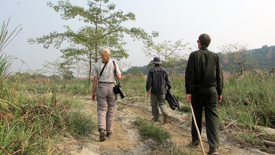 Half Day Jeep Safari in Chitwan National Park - Tips for a Great Safari