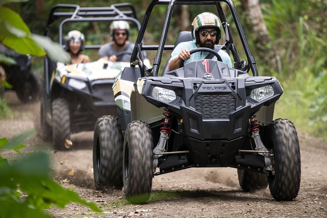 Half Day Jungle Buggies in Bali With Guide - What to Bring and Prepare