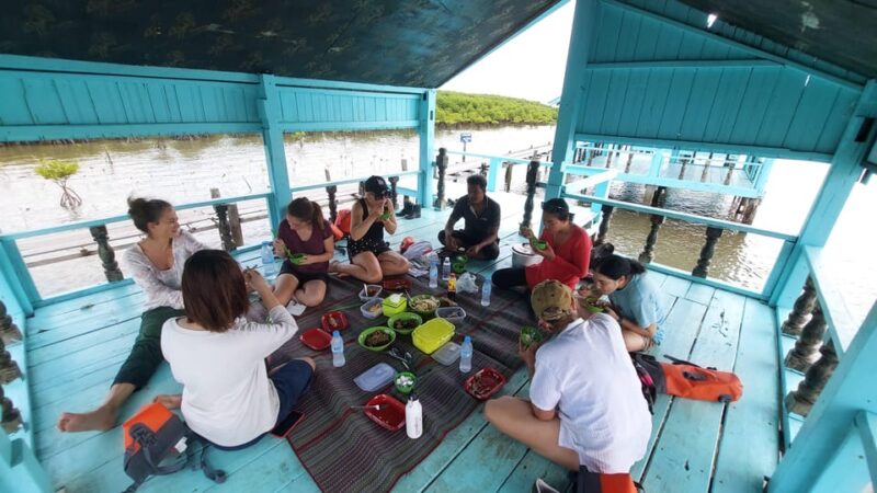 Half Day Kayak Guided Tour to the Green Mangroves Forest - What to Bring