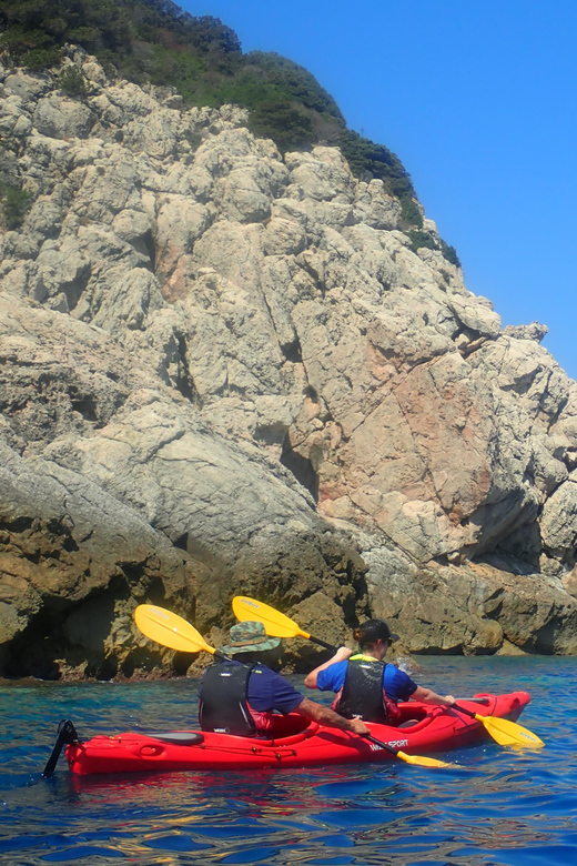 Half Day Kayak Tour of Capo Figari, Golfo Aranci (4 Hours) - Sustainability and Environmental Considerations
