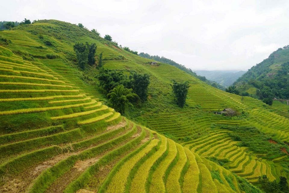 Half Day Sapa Trekking to Visit Lao Chai - Ta Van - What to Bring