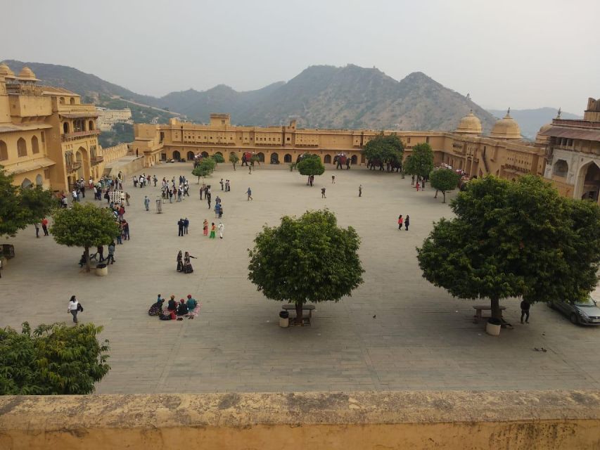 Half Day Tour Jaipur City With Pink City Guide - Booking Information