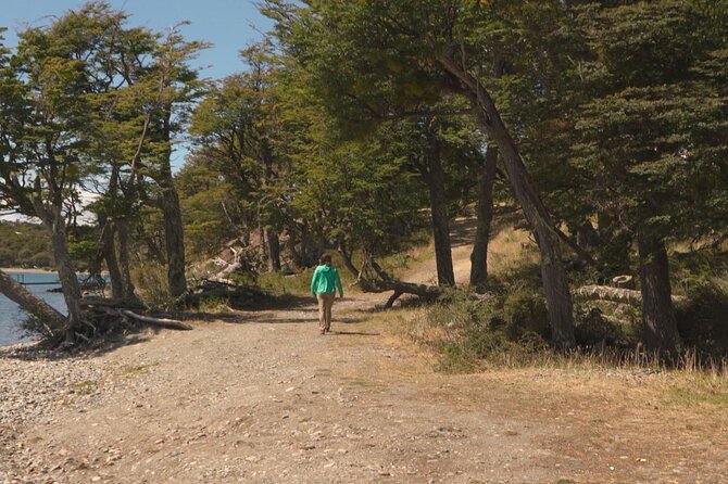 Half Day Tour to Lake Fagnano and Escondido - Wildlife and Viewpoints