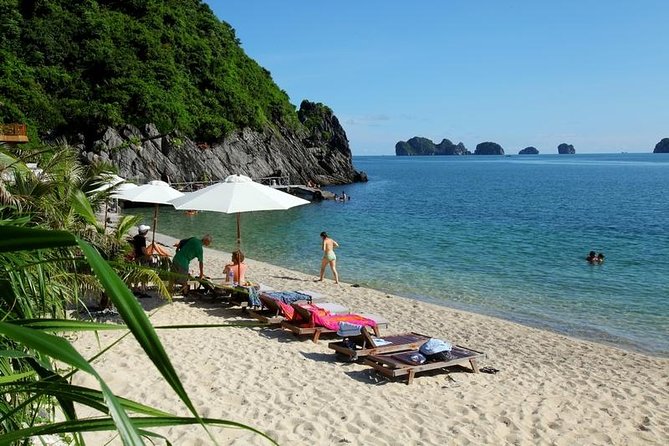 Halong Bay Full Day Tour With Highway Transfer - Tips for Travelers