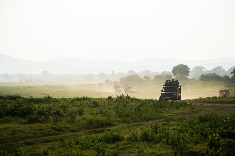 Hambantota Port: Bundala National Park Safari in a 4x4 - Positive Customer Experiences and Ratings