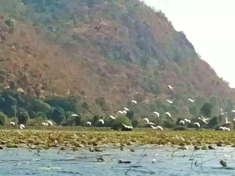 Handicraft, Bamboo Train, Killing Cave, Bat Cave & Sunset - Visiting the Killing Caves